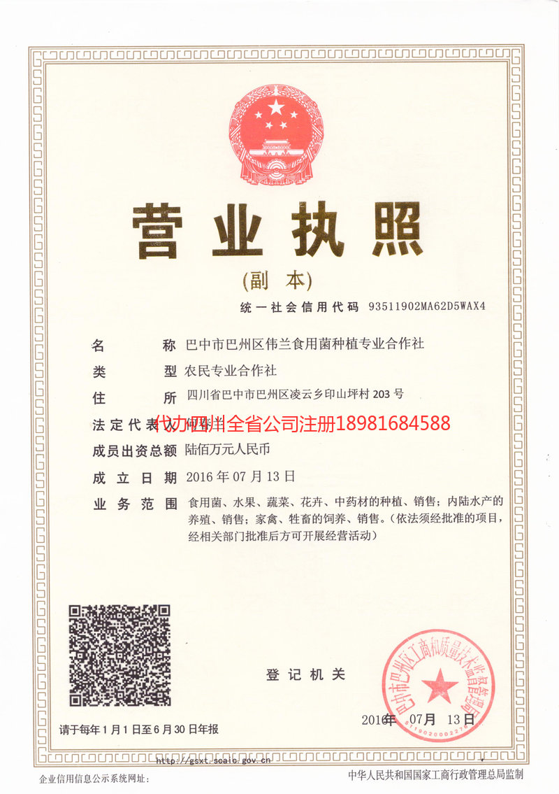 百色百色伟兰食用菌种植专业合作社